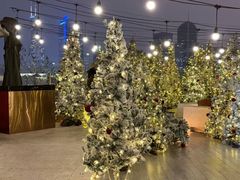 -城市露台景观餐厅(淮海路店)