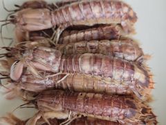 -魚當家