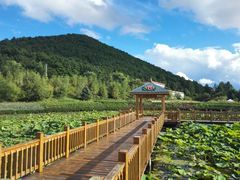 -六鼎山文化旅游区