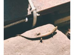 -三亚珠江南田温泉度假区