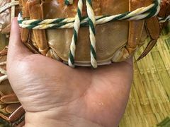 -蟹天蟹地农家菜·阳澄湖大闸蟹(浅水湾店)