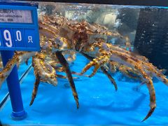 -麦德龙(郑东店)