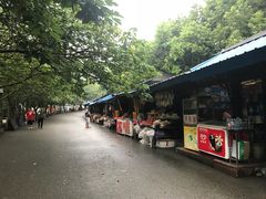 -灵岩山风景区