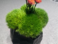 -南堂馆·新川菜(春熙路店)