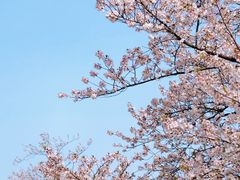 -蠡湖大桥公园