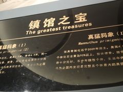 -大庆市博物馆