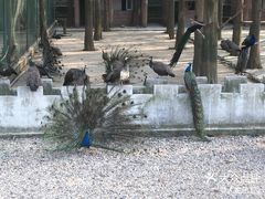 -南京金牛湖风景区