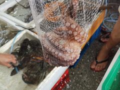 -霞涌市场海鲜摆卖区