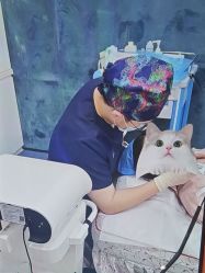 -Yestar 嘉兴艺星医疗美容医院