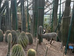 -南山植物园