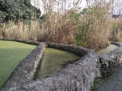 -成都市活水公园