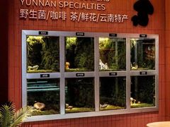 -芸山季·云南野生菌火锅(宝能环球汇店)