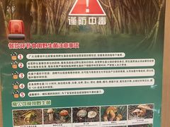 -一朵菌·野生菌探索家火锅(南亚店)