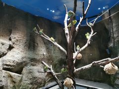 -zoonana室内动物园(东方福来德店)