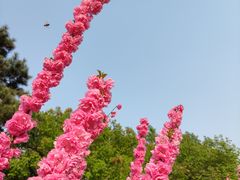 -国家植物园