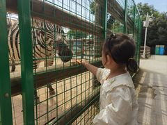 -极速星辰卡丁车赛车场(西山店)