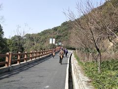 -杭州半山国家森林公园