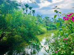 -兴隆槟榔园休闲农庄