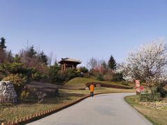 -宝鸡植物园