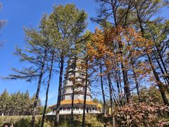 -塞罕坝国家级自然保护区