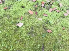 -涞滩古镇