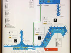 -谢列梅捷沃国际机场