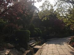 -贮水山儿童公园