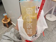 -蜜雪冰城(大智路店)