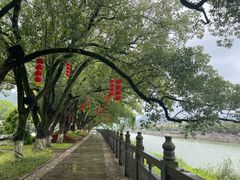 -蒋氏故居