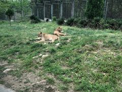 -西安秦岭野生动物园