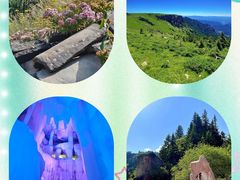 -芦芽山旅游度假区