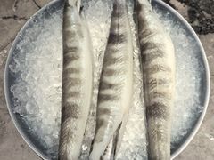 -黑木原精致料理·铁板烧
