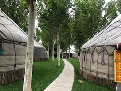 -九十九顶毡房(阜石路店)