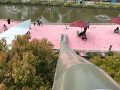 -苏州太湖西山岛开心农场