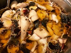 水煮黑鱼-鑫巴蜀(和平里店)