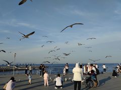 -东港音乐喷泉广场