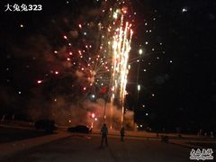 SAM_0065-北京拉斐特城堡酒店