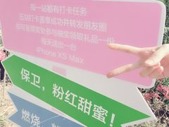 -宁波浙东大竹海景区