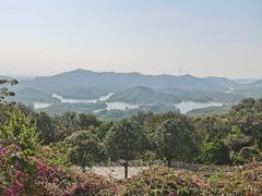 -红花湖景区