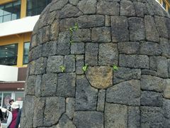 -龙头岩(Dragon Head Rock)