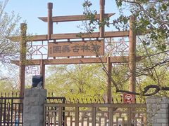 -御林古桑园
