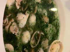 荠菜双菇烩虾仁-毛胡子牛羊餐馆(武宁路店)