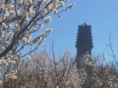 -玉皇塔