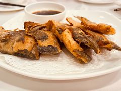 热气东海鲳鱼-瑞福园联谊餐室(茂名南路店)