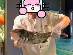 -贺庄·活鱼馆(珠吉路店)