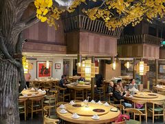 -老凯俚酸汤鱼(多彩城店)