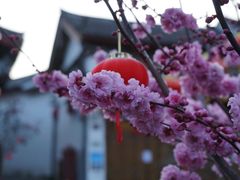 -南诏风情岛