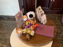 -宠爱国际动物医院·疑难骨科·心肾内科·皮肤科(太阳宫店)