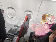 -威海大水泊国际机场