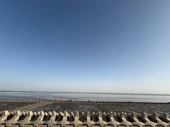 -南汇新城海滩